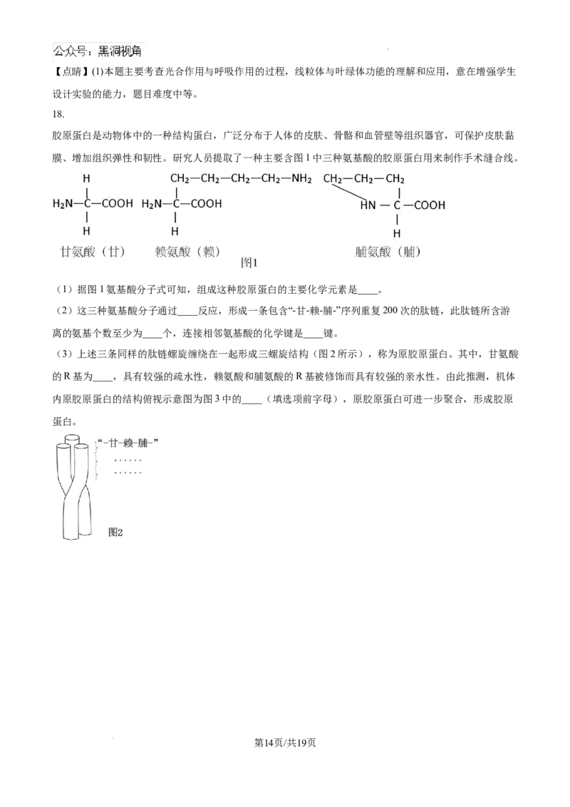 海南省琼海市嘉积中学2024--2025学年高三上学期开学考试生物试题（解析版）_2024-2025高三（6-6月题库）_2024年09月试卷_0909海南省海南中学+嘉积中学2024-2025学年高三上学期开学考试