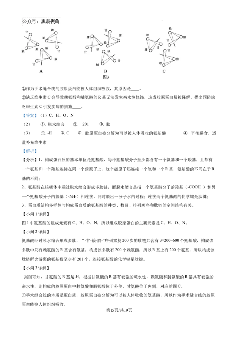 海南省琼海市嘉积中学2024--2025学年高三上学期开学考试生物试题（解析版）_2024-2025高三（6-6月题库）_2024年09月试卷_0909海南省海南中学+嘉积中学2024-2025学年高三上学期开学考试