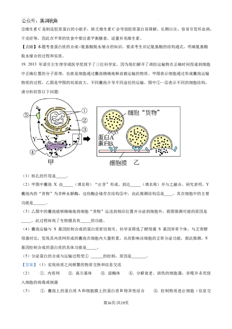 海南省琼海市嘉积中学2024--2025学年高三上学期开学考试生物试题（解析版）_2024-2025高三（6-6月题库）_2024年09月试卷_0909海南省海南中学+嘉积中学2024-2025学年高三上学期开学考试