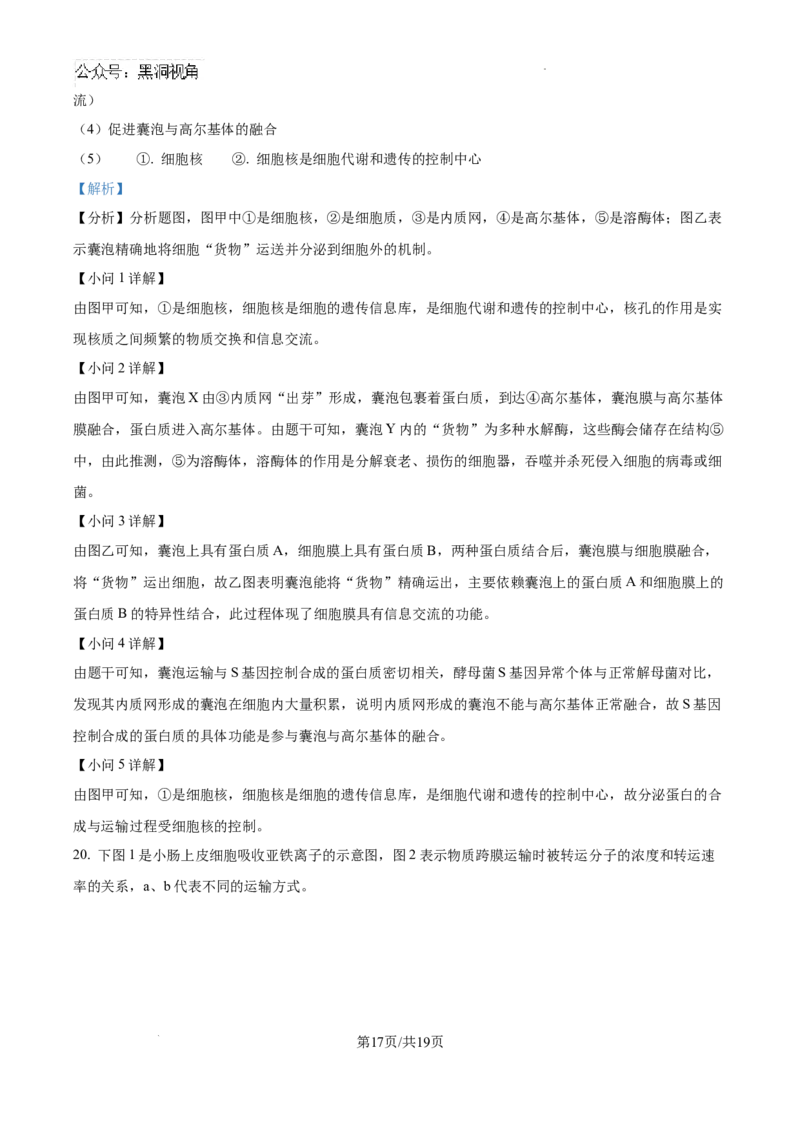 海南省琼海市嘉积中学2024--2025学年高三上学期开学考试生物试题（解析版）_2024-2025高三（6-6月题库）_2024年09月试卷_0909海南省海南中学+嘉积中学2024-2025学年高三上学期开学考试
