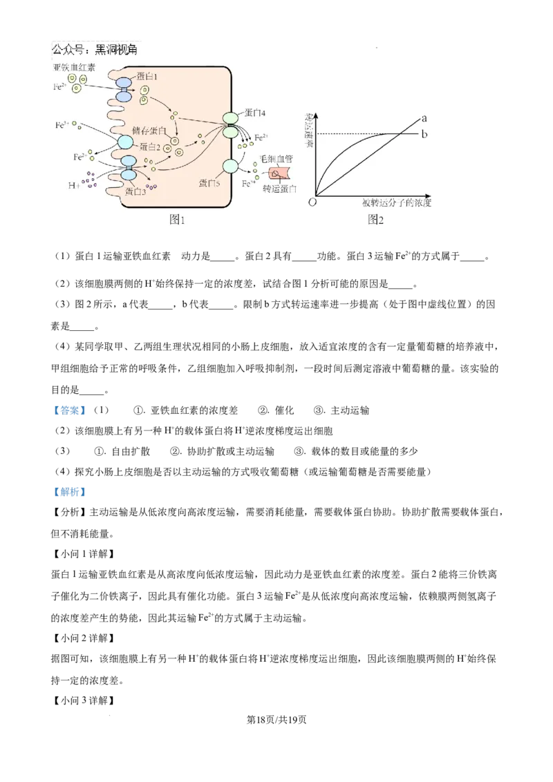 海南省琼海市嘉积中学2024--2025学年高三上学期开学考试生物试题（解析版）_2024-2025高三（6-6月题库）_2024年09月试卷_0909海南省海南中学+嘉积中学2024-2025学年高三上学期开学考试