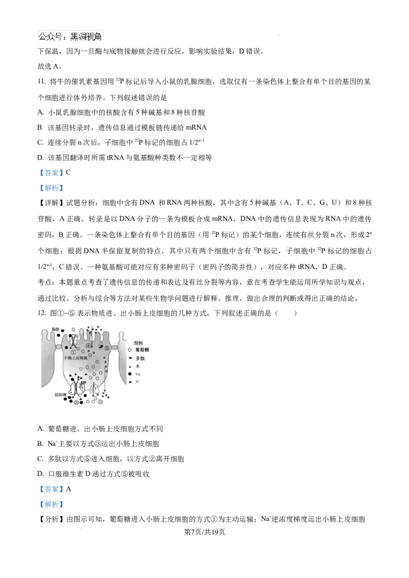 海南省琼海市嘉积中学2024--2025学年高三上学期开学考试生物试题（解析版）_2024-2025高三（6-6月题库）_2024年09月试卷_0909海南省海南中学+嘉积中学2024-2025学年高三上学期开学考试
