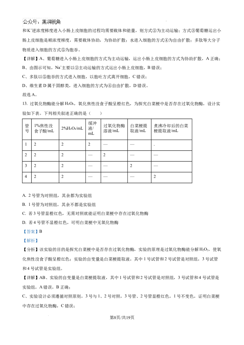 海南省琼海市嘉积中学2024--2025学年高三上学期开学考试生物试题（解析版）_2024-2025高三（6-6月题库）_2024年09月试卷_0909海南省海南中学+嘉积中学2024-2025学年高三上学期开学考试