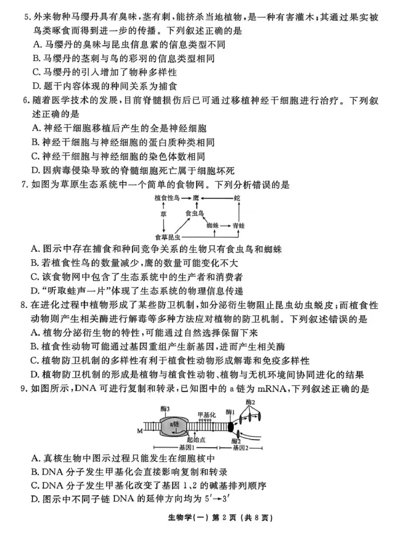 2026年普通高中学业水平选择性考试模拟试题（一）生物+答案_2024-2026高三（6-6月题库）_2026年01月高三试卷_0109河北省衡水金卷先享题2026年普通高中学业水平选择性考试模拟试题（一）