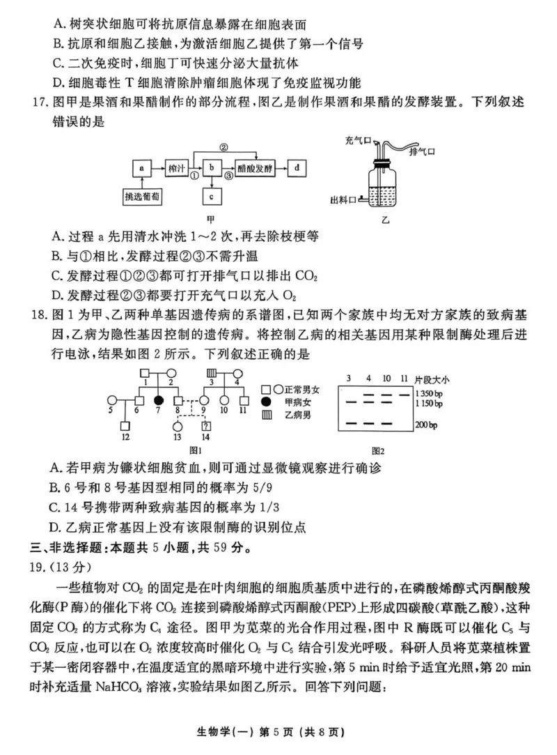 2026年普通高中学业水平选择性考试模拟试题（一）生物+答案_2024-2026高三（6-6月题库）_2026年01月高三试卷_0109河北省衡水金卷先享题2026年普通高中学业水平选择性考试模拟试题（一）