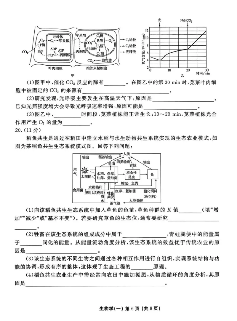 2026年普通高中学业水平选择性考试模拟试题（一）生物+答案_2024-2026高三（6-6月题库）_2026年01月高三试卷_0109河北省衡水金卷先享题2026年普通高中学业水平选择性考试模拟试题（一）