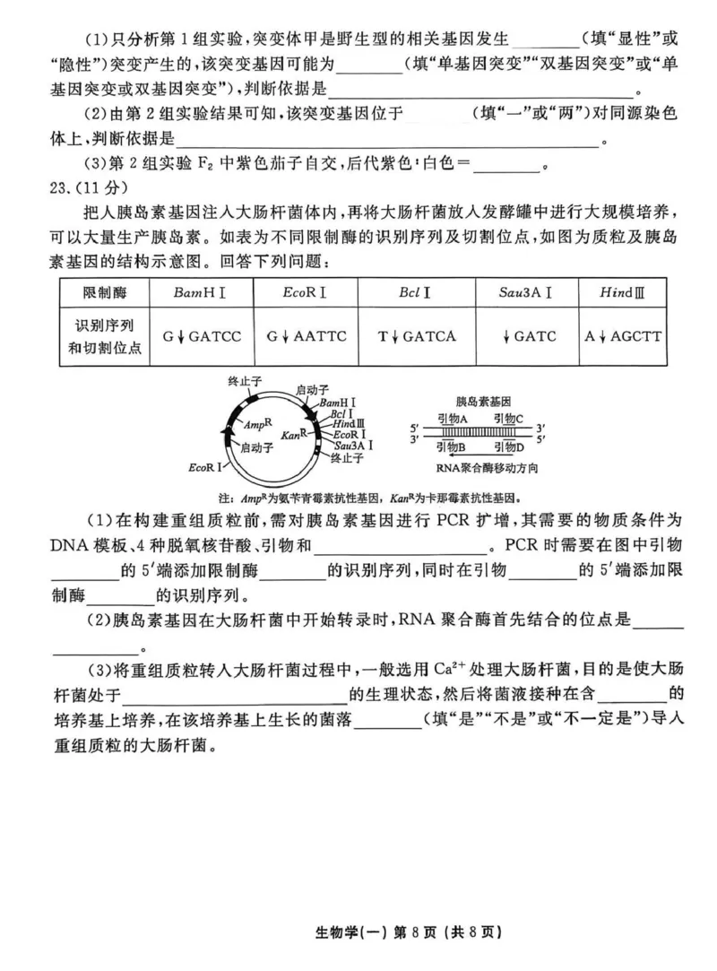2026年普通高中学业水平选择性考试模拟试题（一）生物+答案_2024-2026高三（6-6月题库）_2026年01月高三试卷_0109河北省衡水金卷先享题2026年普通高中学业水平选择性考试模拟试题（一）
