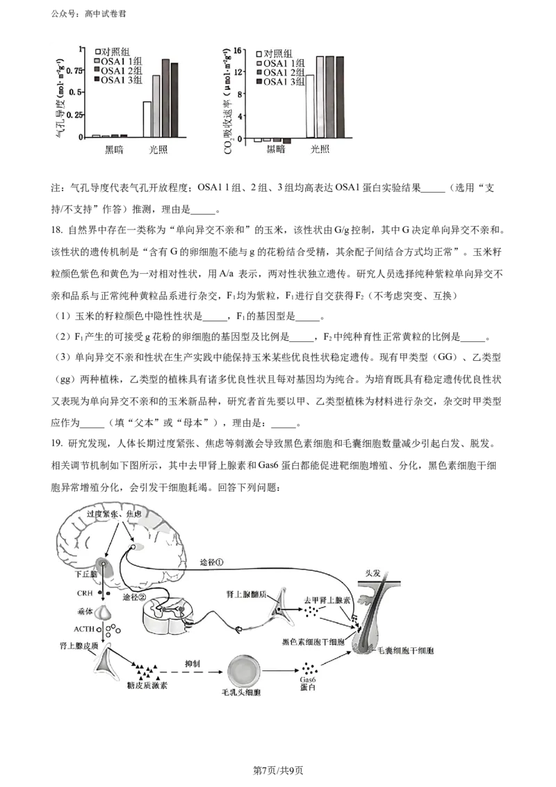 精品解析：广东省惠州市2023-2024学年高二下学期7月期末生物试题（原卷版）_2024-2025高三（6-6月题库）_2024年07月试卷_2407102025届广东省惠州市高三第一次调研考试（惠州高二期末考）