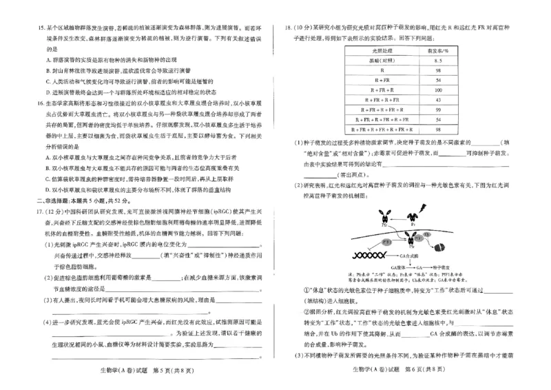 生物试卷_2024-2025高二（7-7月题库）_2025年01月试卷_0104河南省名校大联考2024-2025学年高二上学期12月月考试题_河南省名校大联考2024-2025学年高二上学期12月月考试题生物PDF版含答案