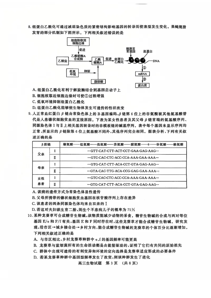 生物试卷_2024-2025高三（6-6月题库）_2024年12月试卷_1212山东省名校考试联盟2024年12月高三阶段性检测_山东省名校考试联盟2024年12月高三阶段性检测生物