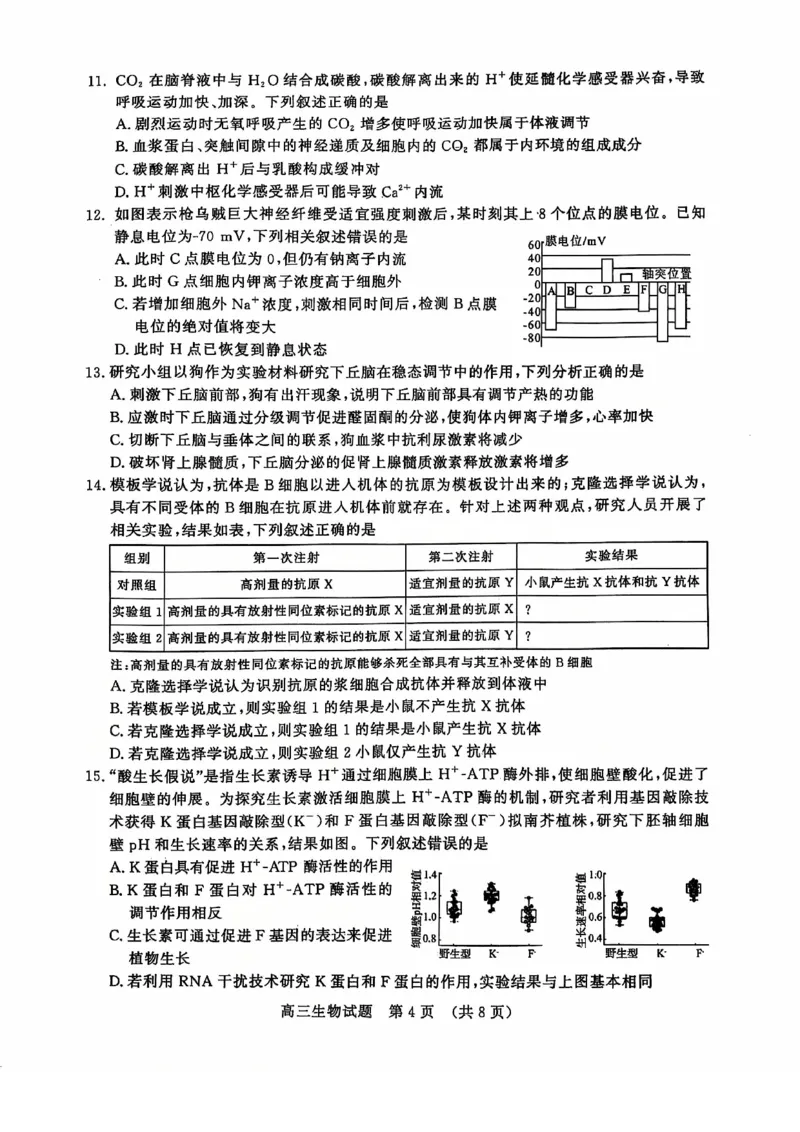 生物试卷_2024-2025高三（6-6月题库）_2024年12月试卷_1212山东省名校考试联盟2024年12月高三阶段性检测_山东省名校考试联盟2024年12月高三阶段性检测生物