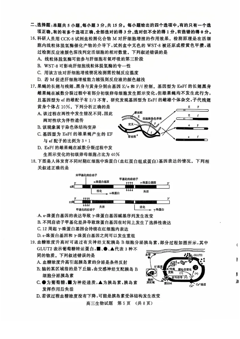 生物试卷_2024-2025高三（6-6月题库）_2024年12月试卷_1212山东省名校考试联盟2024年12月高三阶段性检测_山东省名校考试联盟2024年12月高三阶段性检测生物