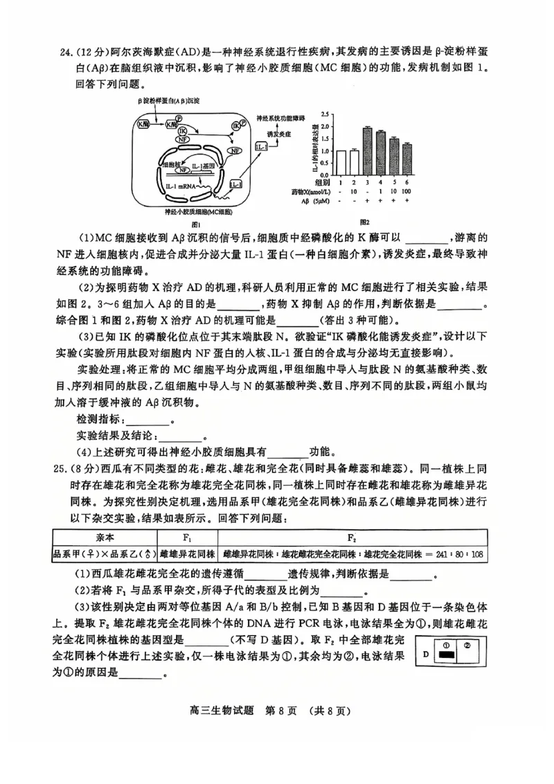 生物试卷_2024-2025高三（6-6月题库）_2024年12月试卷_1212山东省名校考试联盟2024年12月高三阶段性检测_山东省名校考试联盟2024年12月高三阶段性检测生物