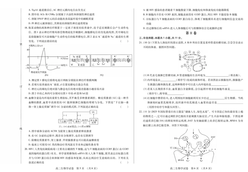 生物卷高二期中定稿_2025年11月高二试卷_251117黑龙江省绥化市新时代2025-2026学年高二上学期11月期中联考（全）_黑龙江省绥化市新时代2025-2026学年高二上学期11月期中联考生物试题含答案