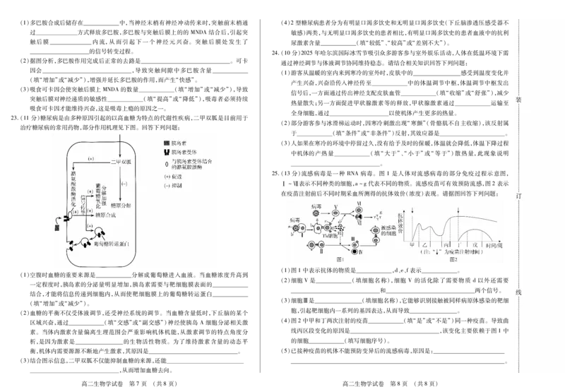 生物卷高二期中定稿_2025年11月高二试卷_251117黑龙江省绥化市新时代2025-2026学年高二上学期11月期中联考（全）_黑龙江省绥化市新时代2025-2026学年高二上学期11月期中联考生物试题含答案