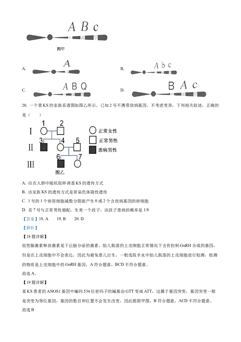 浙江省温州新力量联盟2025-2026学年高二上学期11月期中生物试题Word版含解析_251208浙江省温州市新力量联盟2025-2026学年高二上学期11月期中（全）