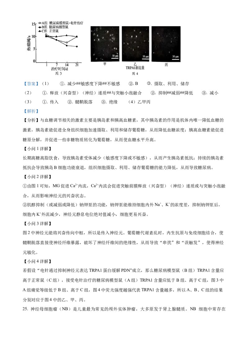浙江省温州新力量联盟2025-2026学年高二上学期11月期中生物试题Word版含解析_251208浙江省温州市新力量联盟2025-2026学年高二上学期11月期中（全）