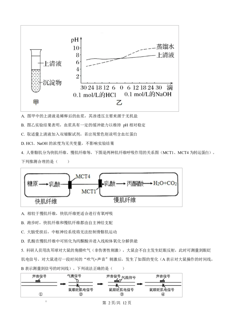 重庆市巴蜀中学教育集团2025-2026学年高二上学期10月月考生物试题Word版无答案_2025年11月高二试卷_251111重庆市巴蜀中学教育集团2025-2026学年高二上学期10月月考试题（全）