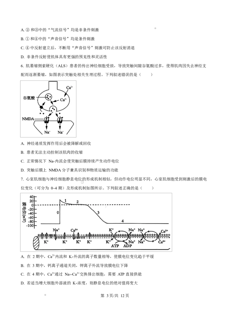 重庆市巴蜀中学教育集团2025-2026学年高二上学期10月月考生物试题Word版无答案_2025年11月高二试卷_251111重庆市巴蜀中学教育集团2025-2026学年高二上学期10月月考试题（全）