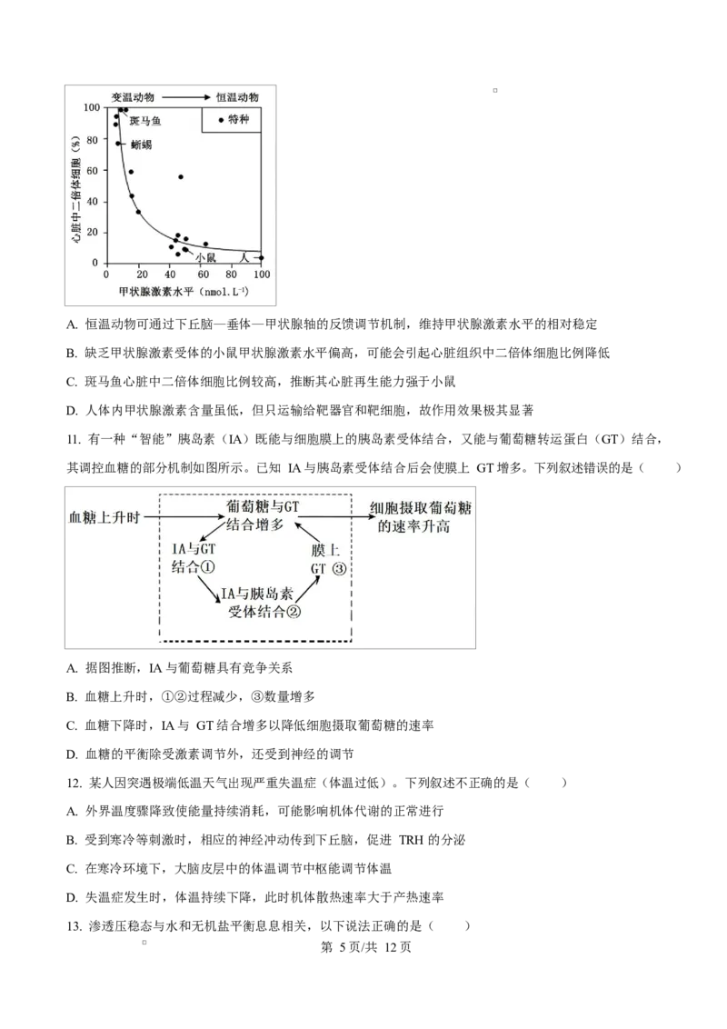 重庆市巴蜀中学教育集团2025-2026学年高二上学期10月月考生物试题Word版无答案_2025年11月高二试卷_251111重庆市巴蜀中学教育集团2025-2026学年高二上学期10月月考试题（全）