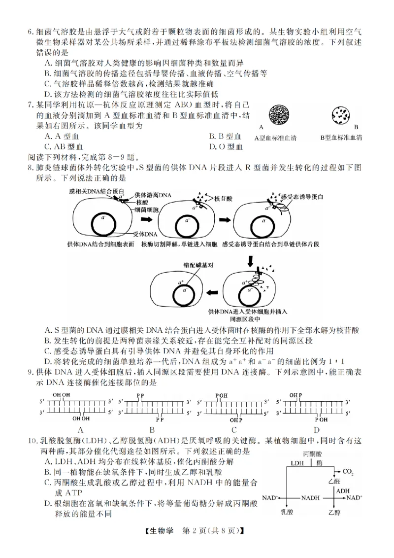 生物卷-2412强基联盟高三联考_2024-2025高三（6-6月题库）_2024年12月试卷_1219浙江省强基联盟2024年12月高三联考_浙江省强基联盟2024年12月高三联考生物