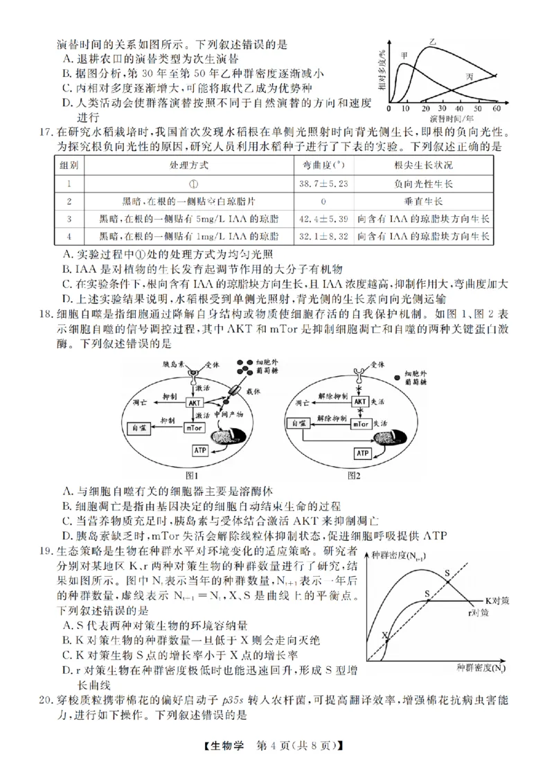 生物卷-2412强基联盟高三联考_2024-2025高三（6-6月题库）_2024年12月试卷_1219浙江省强基联盟2024年12月高三联考_浙江省强基联盟2024年12月高三联考生物