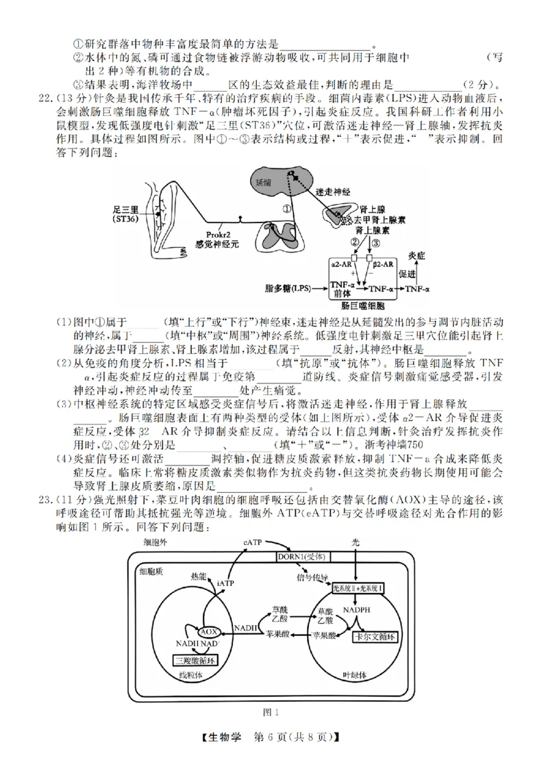 生物卷-2412强基联盟高三联考_2024-2025高三（6-6月题库）_2024年12月试卷_1219浙江省强基联盟2024年12月高三联考_浙江省强基联盟2024年12月高三联考生物