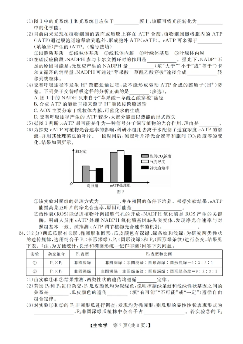生物卷-2412强基联盟高三联考_2024-2025高三（6-6月题库）_2024年12月试卷_1219浙江省强基联盟2024年12月高三联考_浙江省强基联盟2024年12月高三联考生物