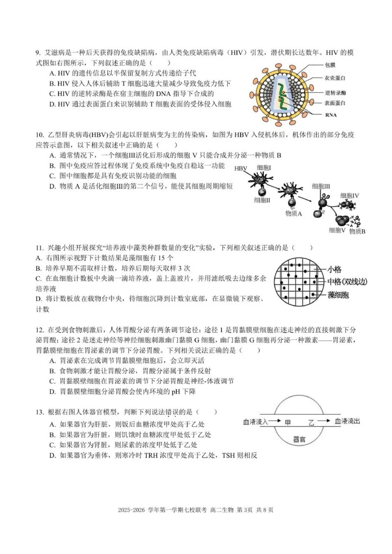 （高二生物试题）2025-2026学年上学期七校联考_2024-2025高二（7-7月题库）_2026年1月高二_260106广东省东莞市七校2025-2026学年高二上学期期中联考试题
