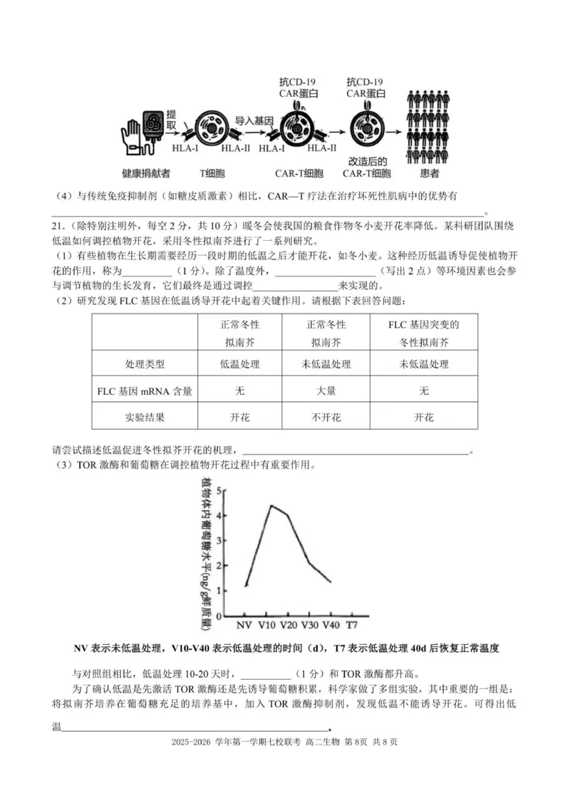 （高二生物试题）2025-2026学年上学期七校联考_2024-2025高二（7-7月题库）_2026年1月高二_260106广东省东莞市七校2025-2026学年高二上学期期中联考试题