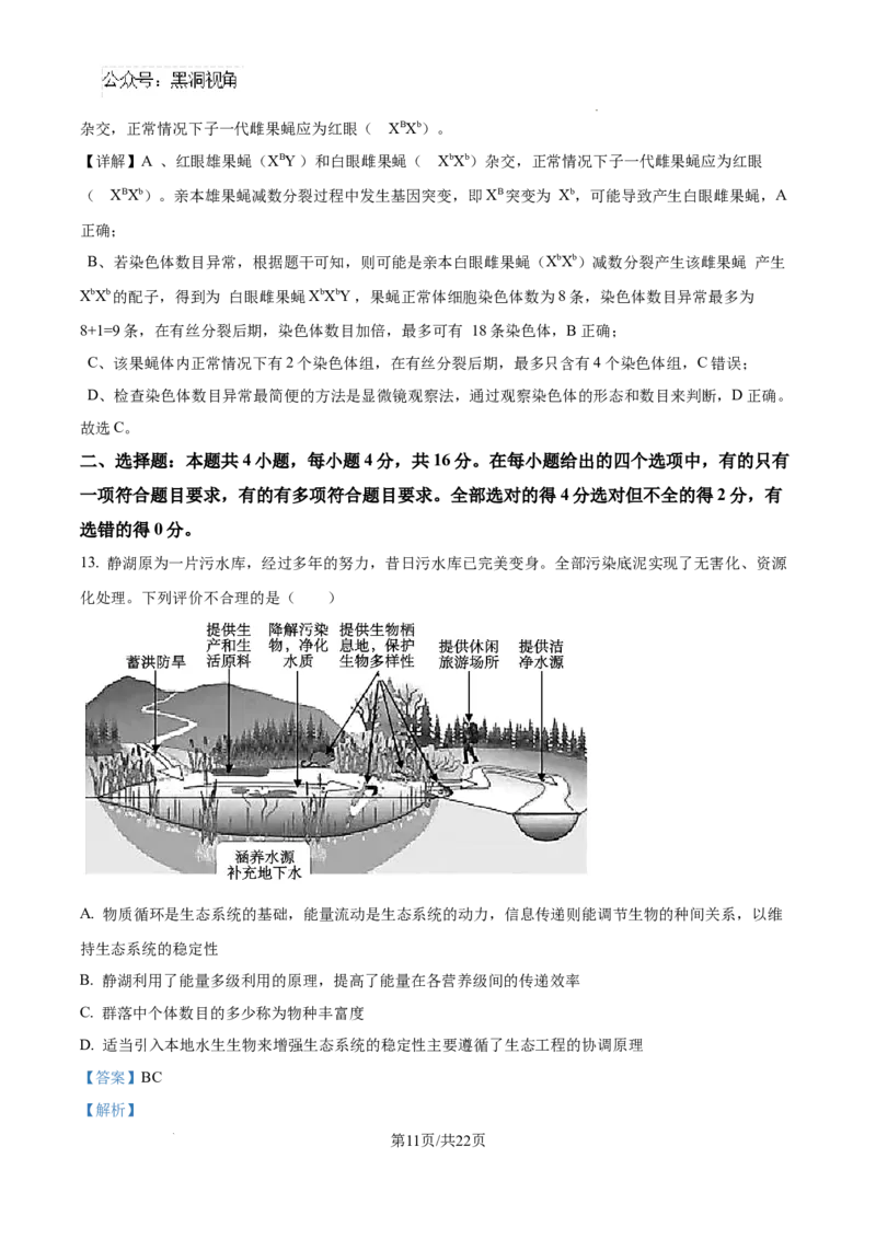 生物试卷（解析版）_2024-2025高三（6-6月题库）_2024年08月试卷_0823湖南省湖南天壹名校联盟2025届高三8月入学联考考试_湖南省湖南天壹名校联盟2025届高三8月入学联考考试生物