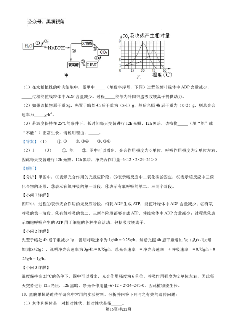 生物试卷（解析版）_2024-2025高三（6-6月题库）_2024年08月试卷_0823湖南省湖南天壹名校联盟2025届高三8月入学联考考试_湖南省湖南天壹名校联盟2025届高三8月入学联考考试生物