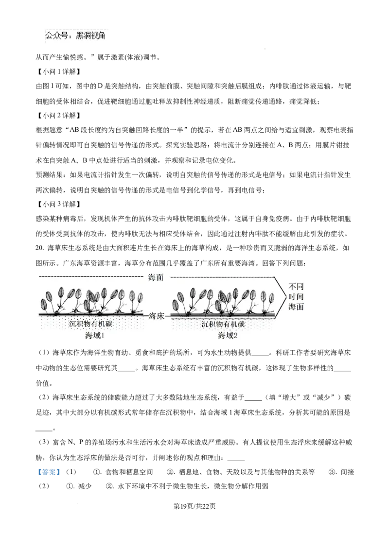 生物试卷（解析版）_2024-2025高三（6-6月题库）_2024年08月试卷_0823湖南省湖南天壹名校联盟2025届高三8月入学联考考试_湖南省湖南天壹名校联盟2025届高三8月入学联考考试生物