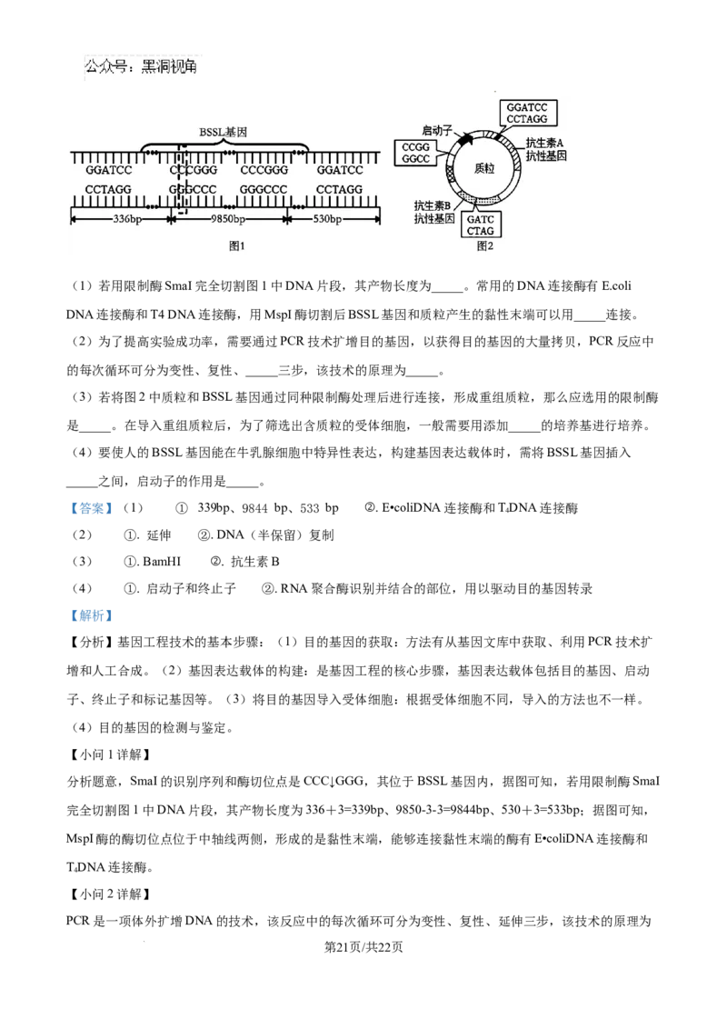 生物试卷（解析版）_2024-2025高三（6-6月题库）_2024年08月试卷_0823湖南省湖南天壹名校联盟2025届高三8月入学联考考试_湖南省湖南天壹名校联盟2025届高三8月入学联考考试生物