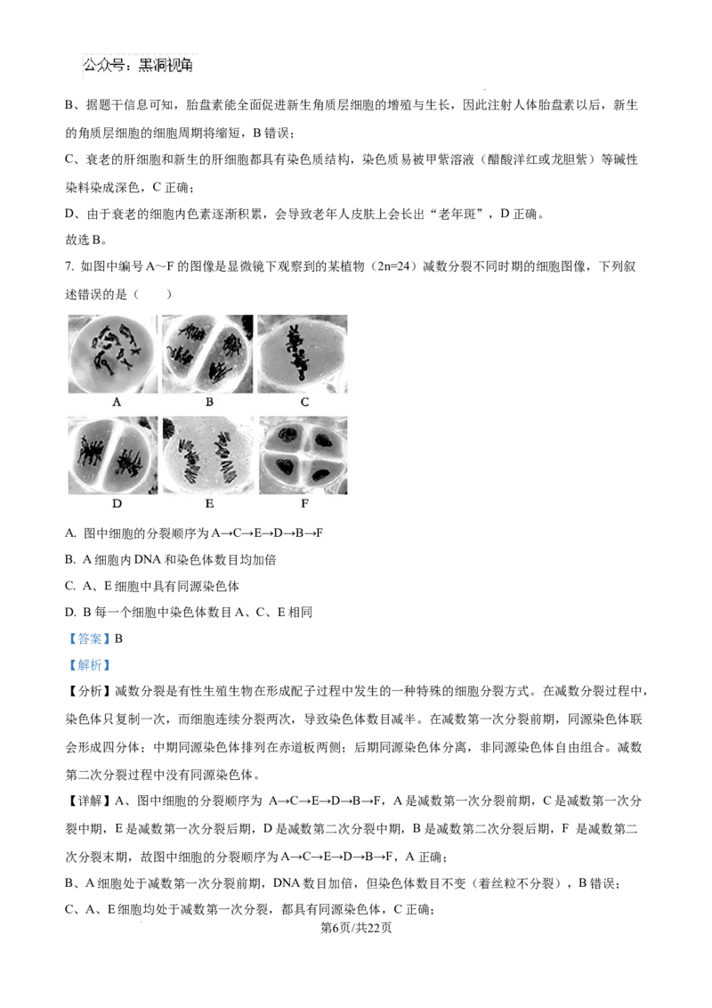 生物试卷（解析版）_2024-2025高三（6-6月题库）_2024年08月试卷_0823湖南省湖南天壹名校联盟2025届高三8月入学联考考试_湖南省湖南天壹名校联盟2025届高三8月入学联考考试生物
