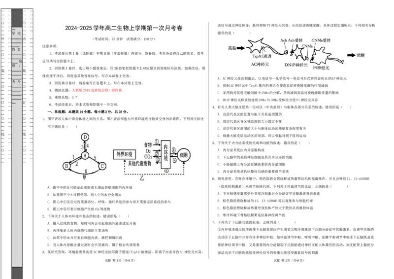 高二生物第一次月考卷（江苏专用）（考试版A3）测试范围：选择性必修1第1-4章（人教版2019）_2024-2025高二（7-7月题库）_2024年09月试卷