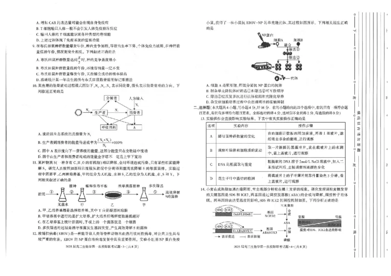 陕西省2024-2025学年高三上学期第一次校际联考（开学）生物试题_2024-2025高三（6-6月题库）_2024年09月试卷_09032025届陕西省高三第一次校际开学联考