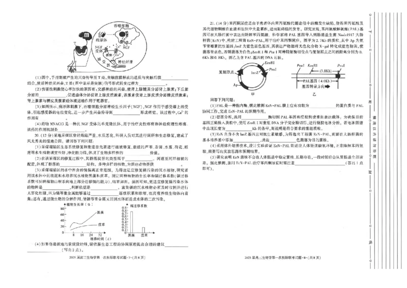 陕西省2024-2025学年高三上学期第一次校际联考（开学）生物试题_2024-2025高三（6-6月题库）_2024年09月试卷_09032025届陕西省高三第一次校际开学联考