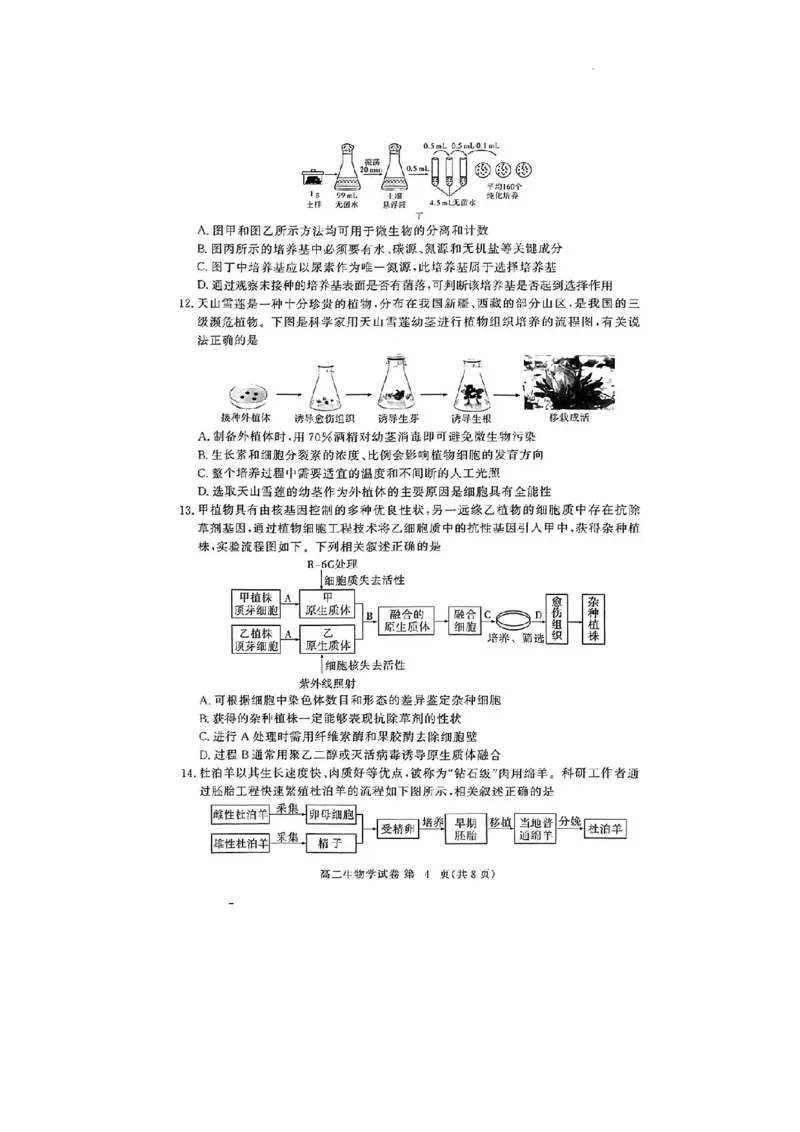 生物试卷_2024-2025高二（7-7月题库）_2024年07月试卷_0706湖北省部分市州2024年春季高二年级期末教学质量监测（湖北春季高二期末）_湖北省2023-2024学年高二下学期7月期末考试生物试题