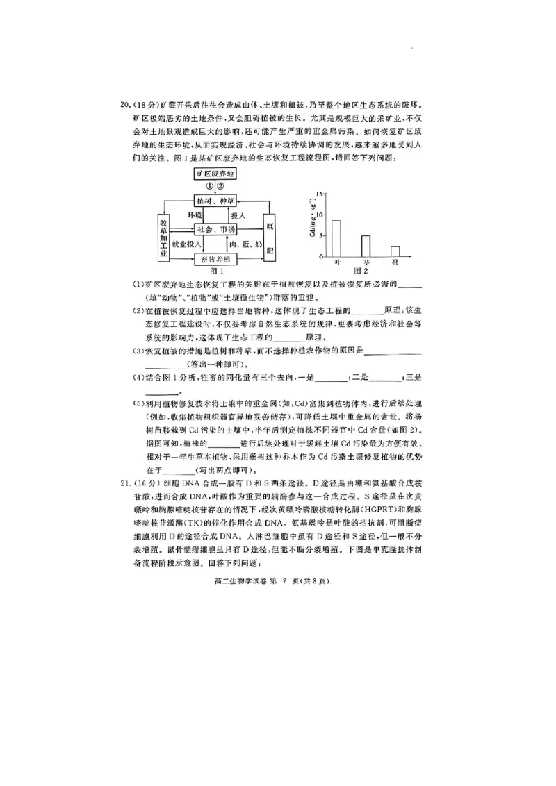 生物试卷_2024-2025高二（7-7月题库）_2024年07月试卷_0706湖北省部分市州2024年春季高二年级期末教学质量监测（湖北春季高二期末）_湖北省2023-2024学年高二下学期7月期末考试生物试题