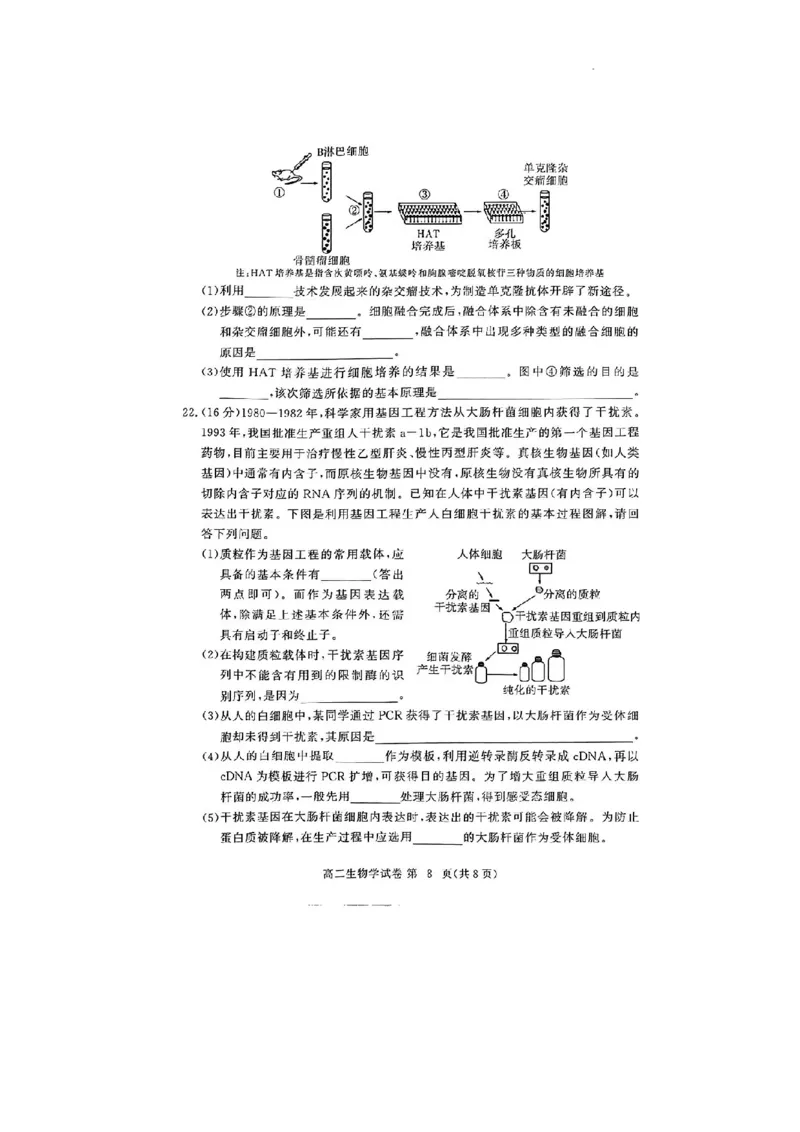 生物试卷_2024-2025高二（7-7月题库）_2024年07月试卷_0706湖北省部分市州2024年春季高二年级期末教学质量监测（湖北春季高二期末）_湖北省2023-2024学年高二下学期7月期末考试生物试题