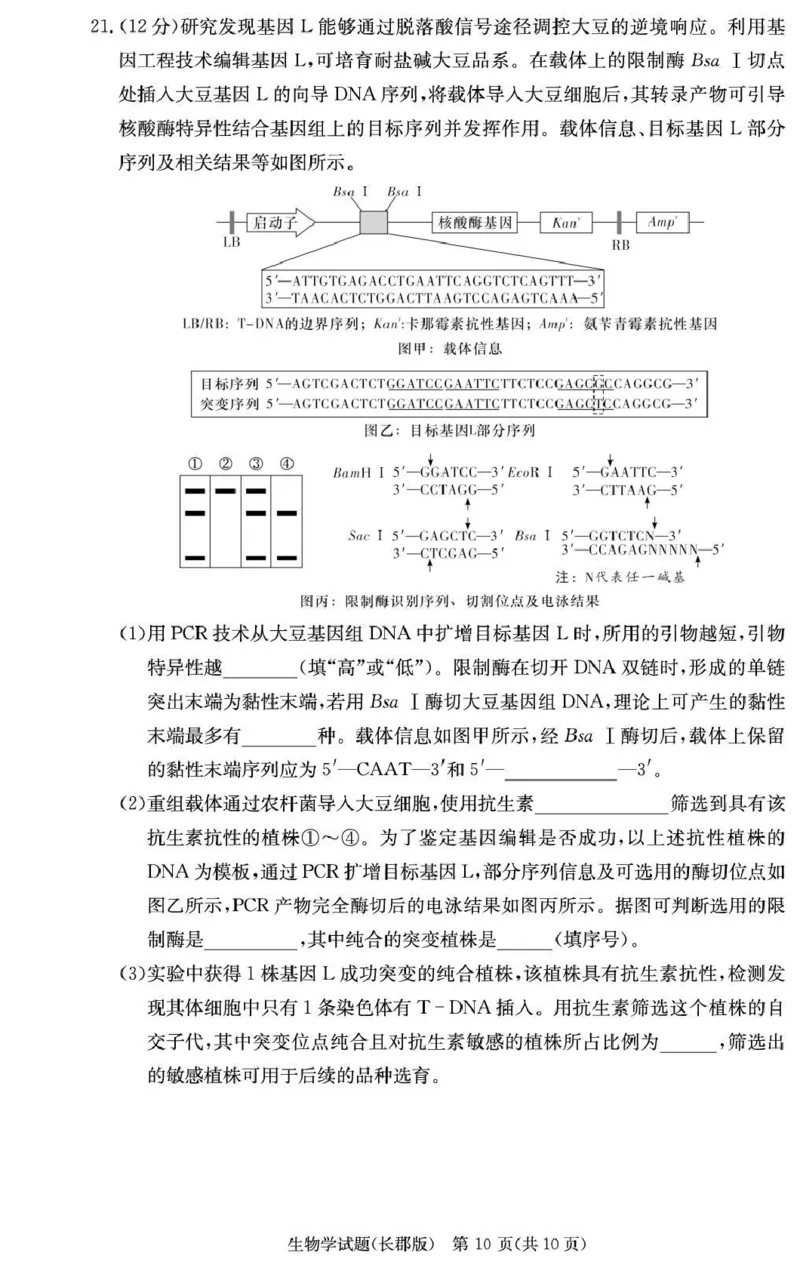长郡中学2026届高三月考试卷（五）生物_2024-2026高三（6-6月题库）_2026年01月高三试卷_0104炎德&middot;英才大联考长郡中学2026届高三月考试卷（五）