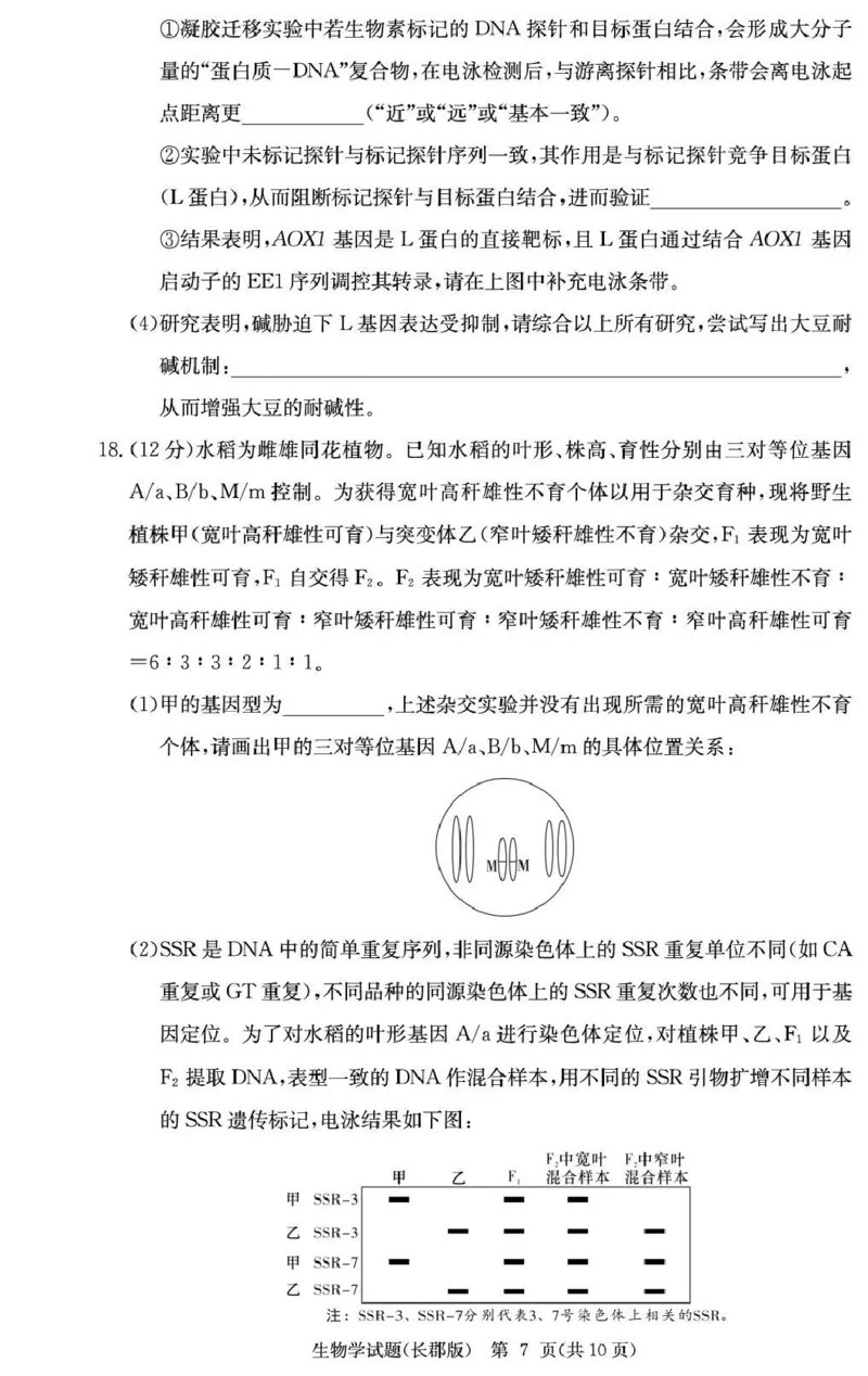 长郡中学2026届高三月考试卷（五）生物_2024-2026高三（6-6月题库）_2026年01月高三试卷_0104炎德&middot;英才大联考长郡中学2026届高三月考试卷（五）