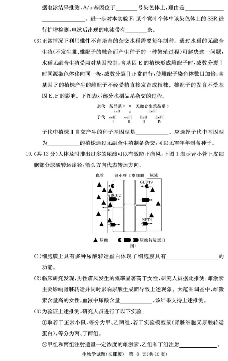 长郡中学2026届高三月考试卷（五）生物_2024-2026高三（6-6月题库）_2026年01月高三试卷_0104炎德&middot;英才大联考长郡中学2026届高三月考试卷（五）