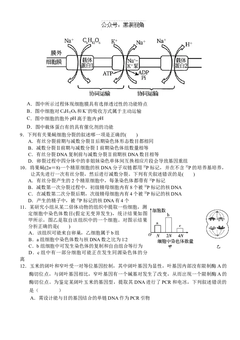 湖北省沙市中学2024-2025学年高三上学期9月月考试题生物Word版含答案_2024-2025高三（6-6月题库）_2024年09月试卷_0928湖北省沙市中学2024-2025学年高三上学期9月月考