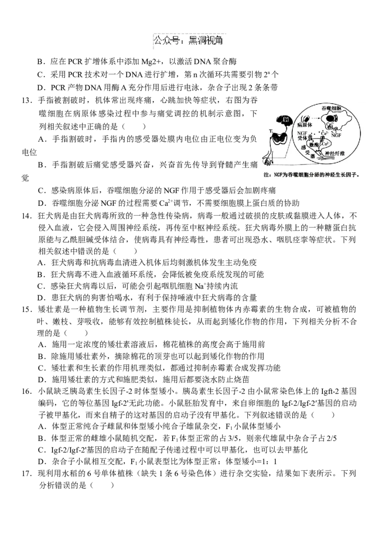 湖北省沙市中学2024-2025学年高三上学期9月月考试题生物Word版含答案_2024-2025高三（6-6月题库）_2024年09月试卷_0928湖北省沙市中学2024-2025学年高三上学期9月月考