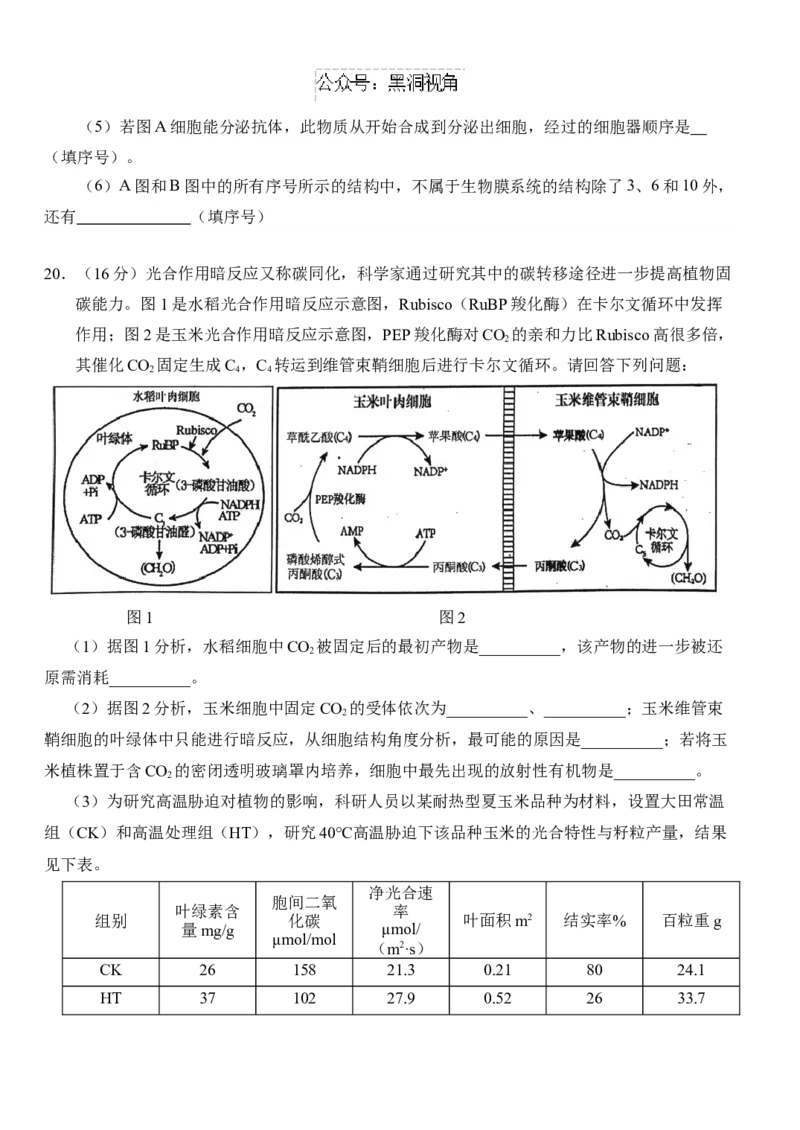 湖北省沙市中学2024-2025学年高三上学期9月月考试题生物Word版含答案_2024-2025高三（6-6月题库）_2024年09月试卷_0928湖北省沙市中学2024-2025学年高三上学期9月月考