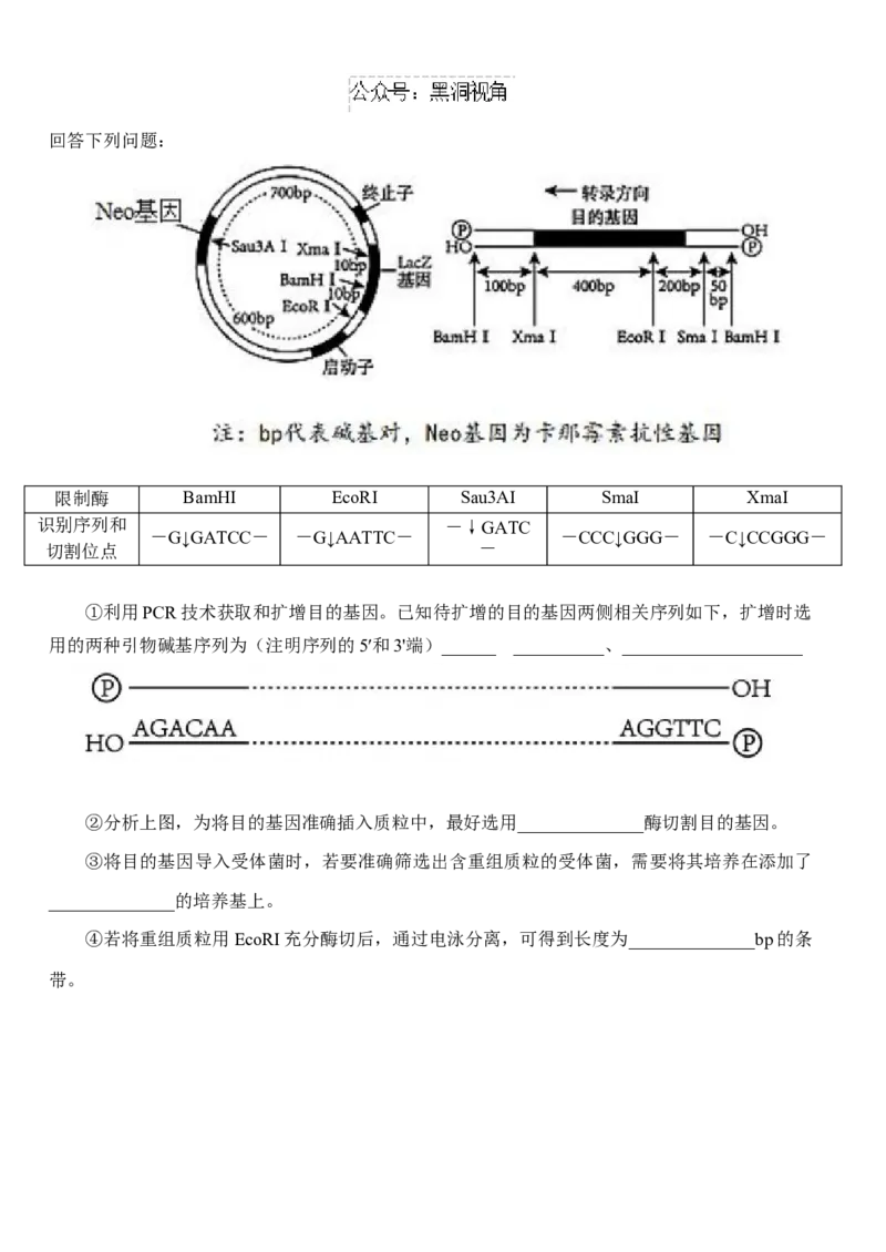 湖北省沙市中学2024-2025学年高三上学期9月月考试题生物Word版含答案_2024-2025高三（6-6月题库）_2024年09月试卷_0928湖北省沙市中学2024-2025学年高三上学期9月月考