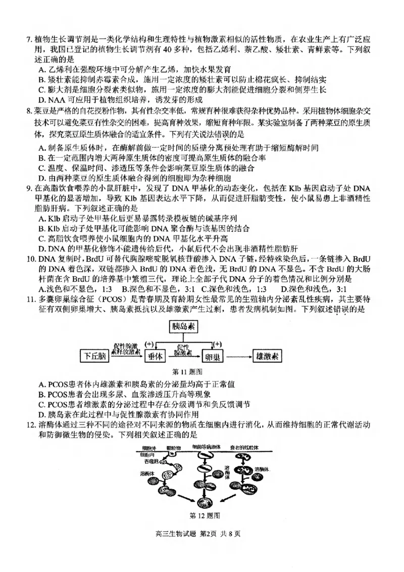 生物试卷_2024-2025高三（6-6月题库）_2024年12月试卷_1214浙江省精诚联盟2024-2025学年高三上学期12月适应性联考（全科）_生物