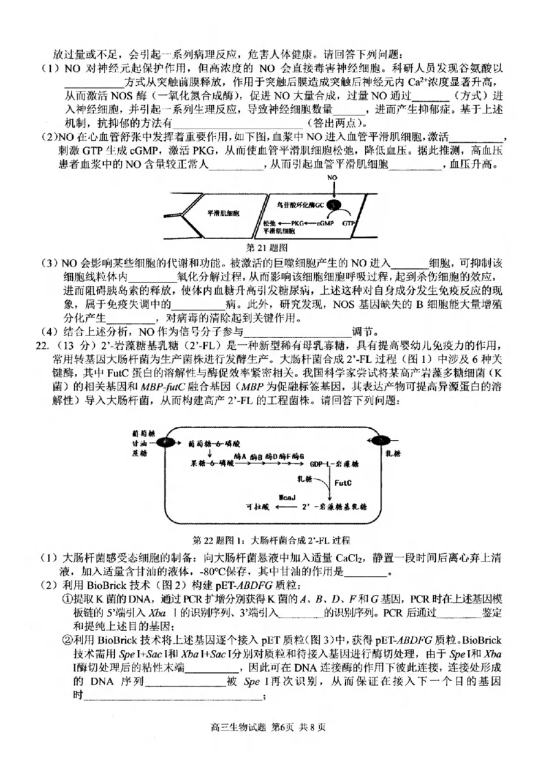 生物试卷_2024-2025高三（6-6月题库）_2024年12月试卷_1214浙江省精诚联盟2024-2025学年高三上学期12月适应性联考（全科）_生物